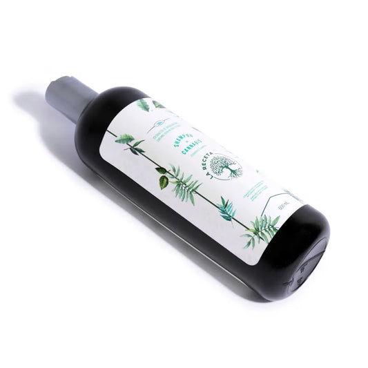 Shampoo de Argán para Cabello Seco 500 mlLa Receta