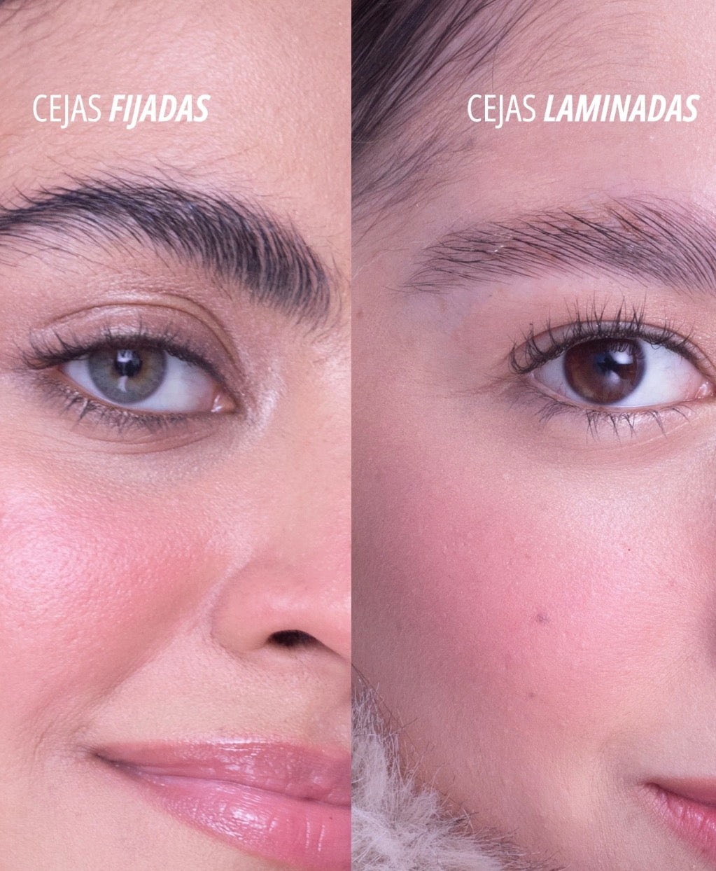 Gel Fijador De Cejas Freeze Babes Anik