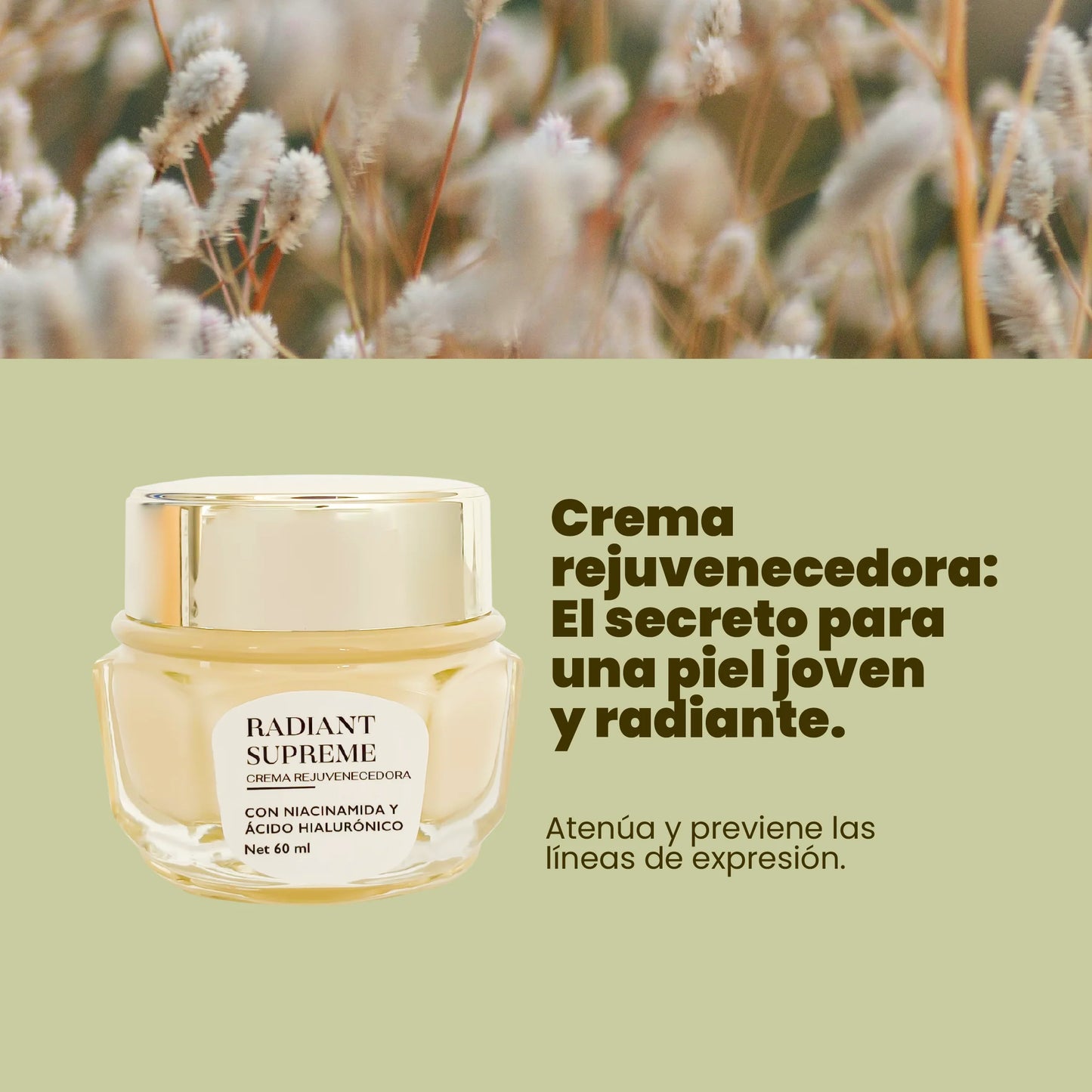 Crema Rejuvenecedora Radiant 60 ML Anyeluz